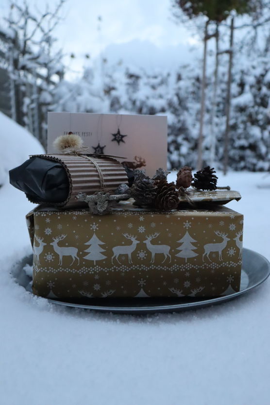 Bild von Mopfi Bild von Mopfi