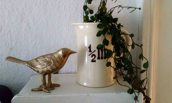 Bild von Emmylou Bild von Emmylou