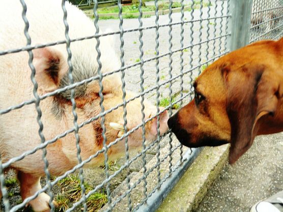 Huch wer bist du denn...? Huch wer bist du denn...?