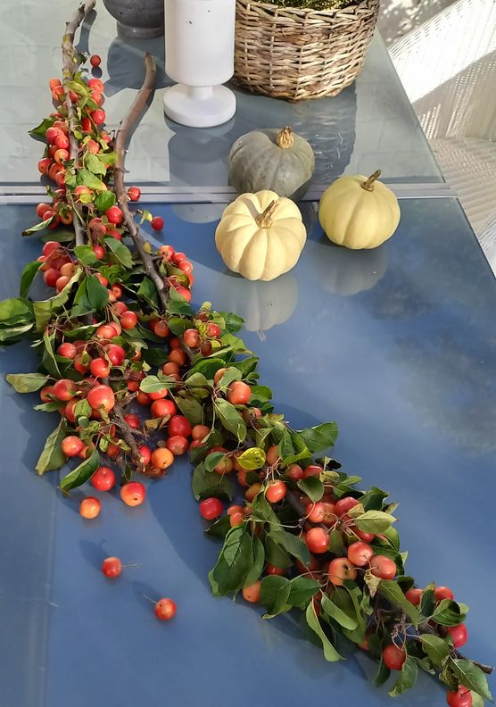 Diesen wunderschönen Zierkirschzweig habe Diesen wunderschönen Zierkirschzweig habe