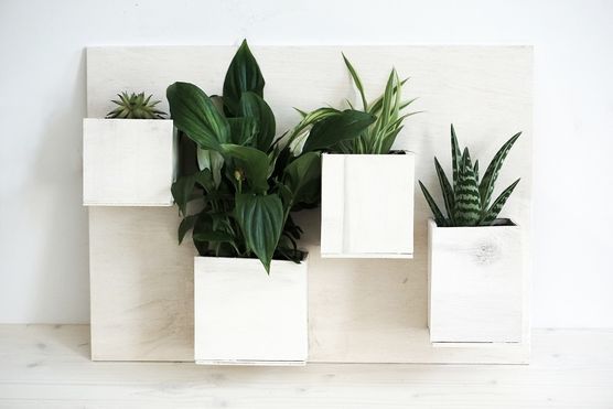 DIY Pflanzen-Bild aus leeren Getränkekartons DIY Pflanzen-Bild aus leeren Getränkekartons