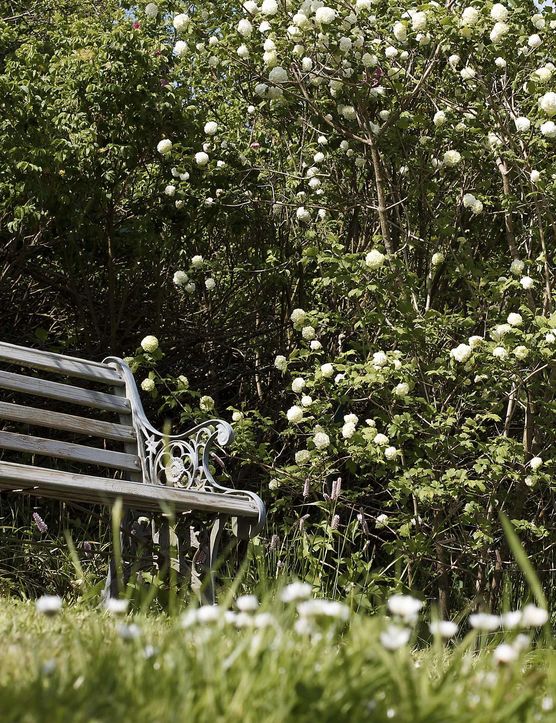 Bild von Mooonhorse Bild von Mooonhorse