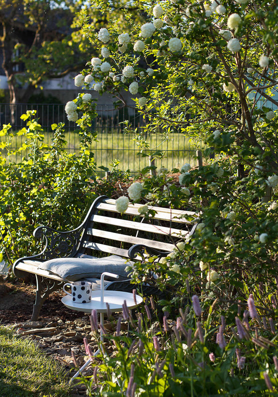 Bild von Mooonhorse Bild von Mooonhorse