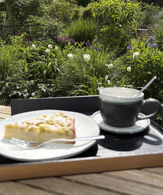 Bild von Mooonhorse Bild von Mooonhorse