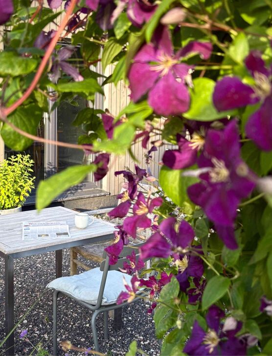 Bild von Mooonhorse Bild von Mooonhorse