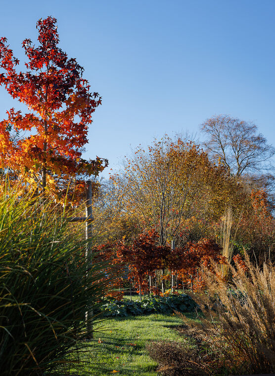 Nach einer sonnigen Novemberwoche Nach einer sonnigen Novemberwoche