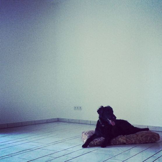 Meine Ausgangssituation - überall weiße Fliesen Meine Ausgangssituation - überall weiße Fliesen