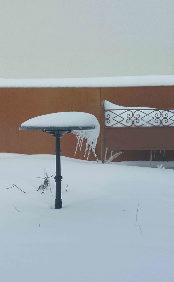 Bild von Ruth1981 Bild von Ruth1981