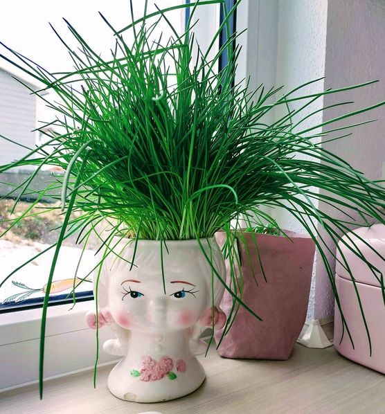 Bild von Ruth1981 Bild von Ruth1981