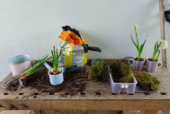 Bild von Ruth1981 Bild von Ruth1981