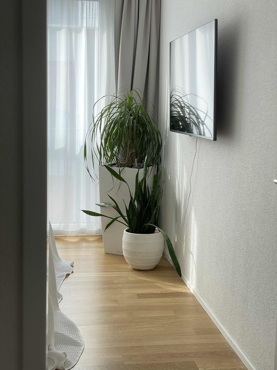 Bild von melx Bild von melx