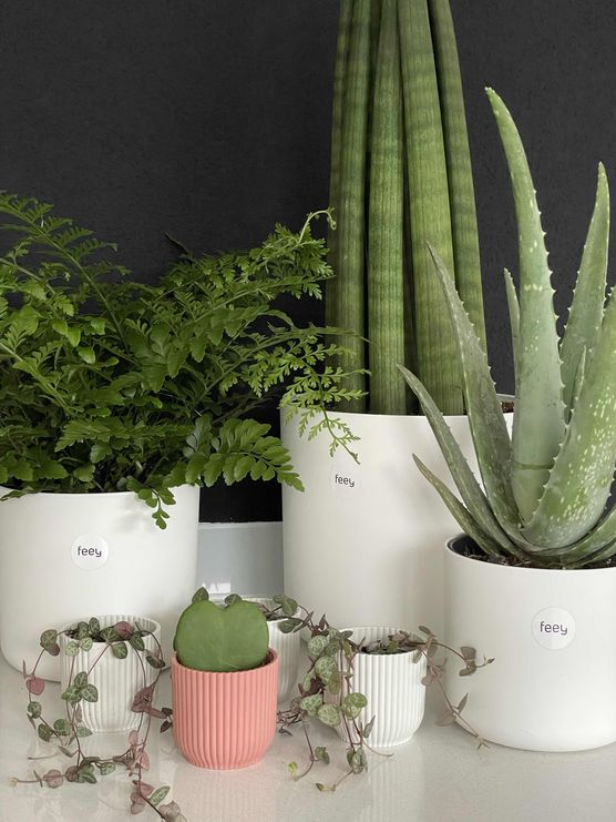 Bild von melx Bild von melx