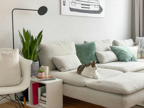 Bild von melx Bild von melx