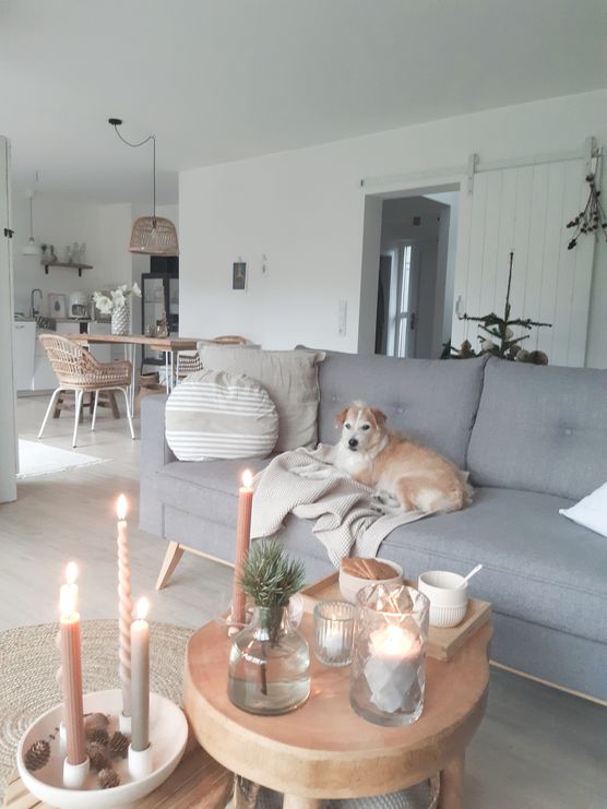 Teezeit, wir chillen☕🍪🐕🤎🕯 Teezeit, wir chillen☕🍪🐕🤎🕯