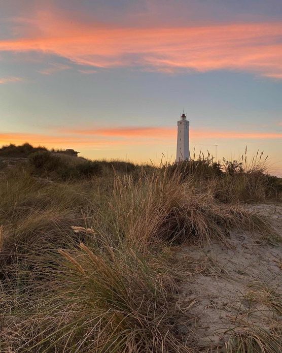 Bild von Sinnspiel Bild von Sinnspiel