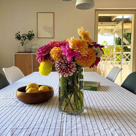 Bild von Bines Welt Bild von Bines Welt