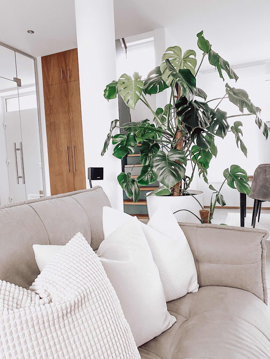 Bild von einfach.heimelig Bild von einfach.heimelig