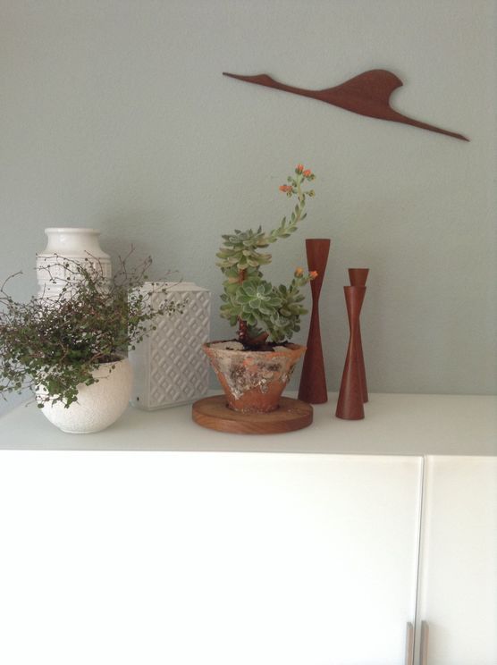 Urban Dschungel Urban Dschungel