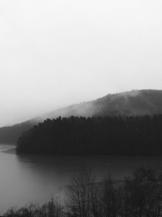 Grautöne... Grautöne...