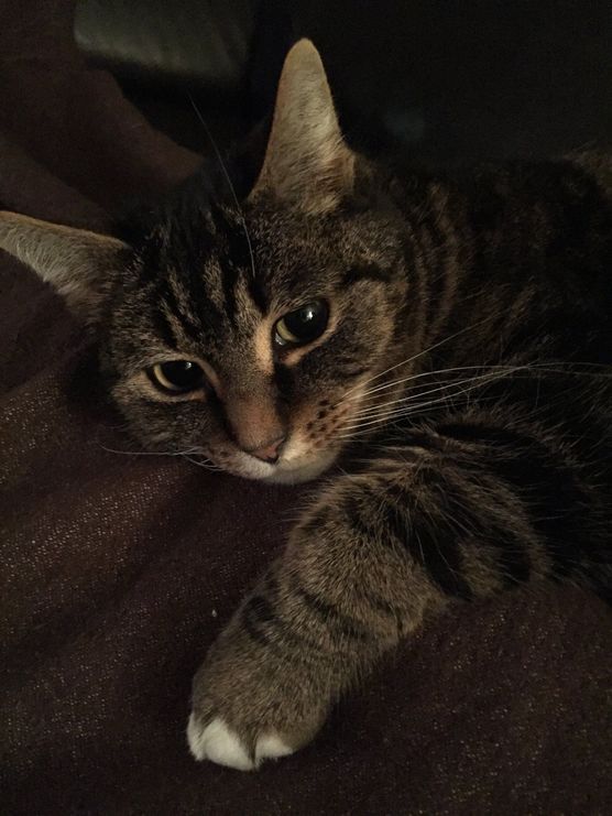 Wochenende.... Wochenende....