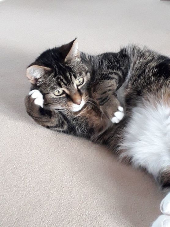 Ich kann nur... Ich kann nur...