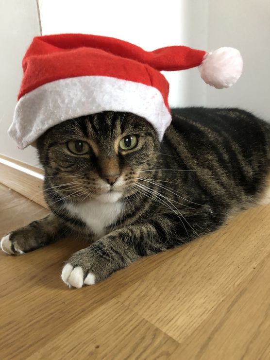 Hoffentlich hattet Ihr alle Hoffentlich hattet Ihr alle