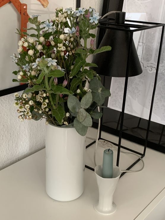 Der Flieder im Garten Der Flieder im Garten