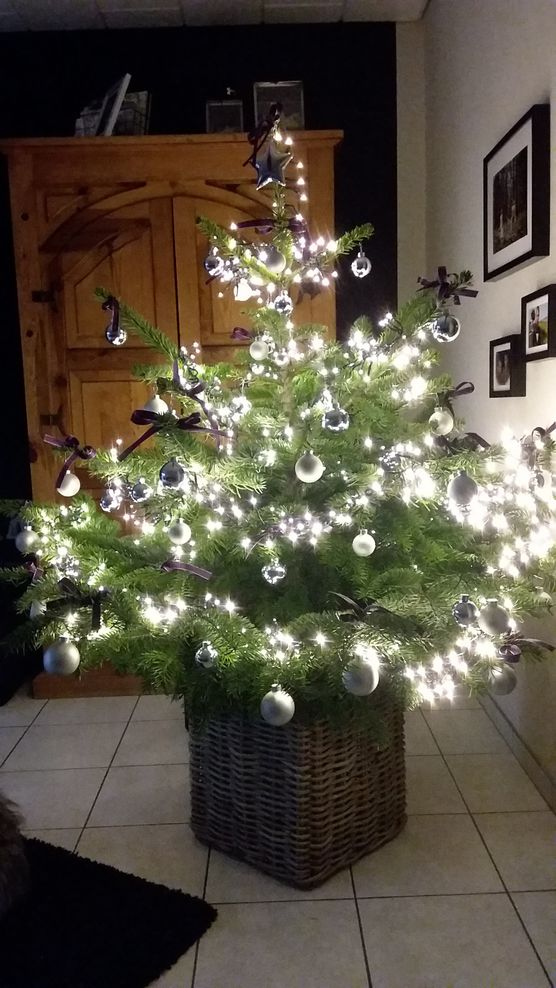 Auch in diesem (verrückten) Auch in diesem (verrückten)