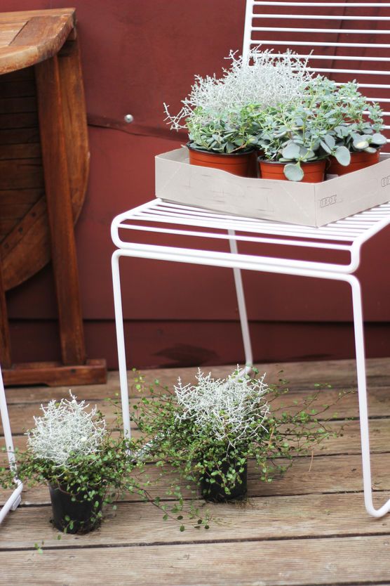 Warten auf ihren Einsatz Warten auf ihren Einsatz