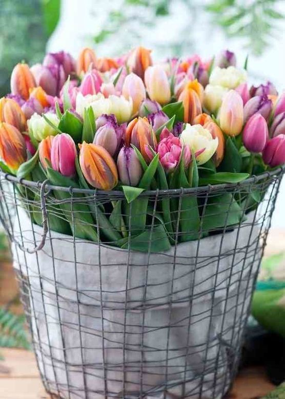 Bild von Maushaus Bild von Maushaus