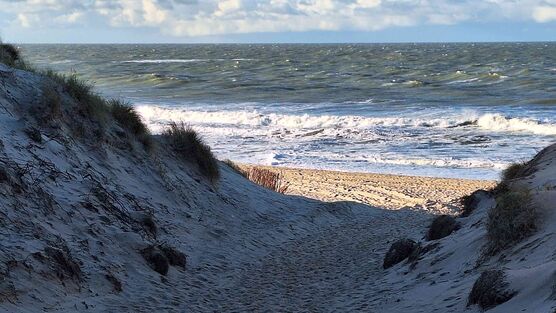 Bild von Maushaus Bild von Maushaus