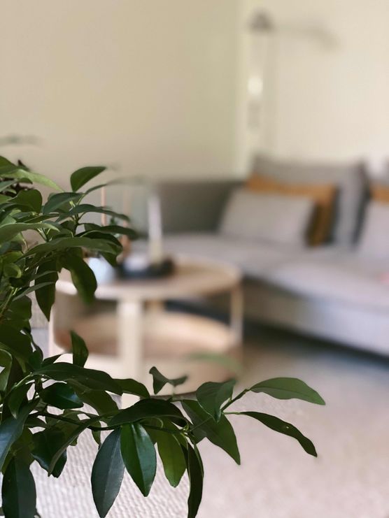 Bild von rosaundjott Bild von rosaundjott