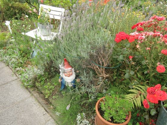 wo kommen denn die zwerge her?? wo kommen denn die zwerge her??