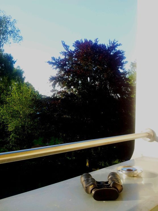 My secret Garden My secret Garden