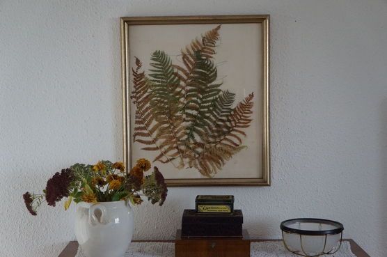 DYI-Bild getrockneter Farn DYI-Bild getrockneter Farn