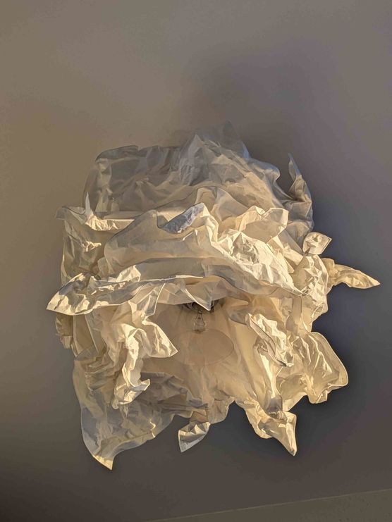 Bild von lilien08 Bild von lilien08