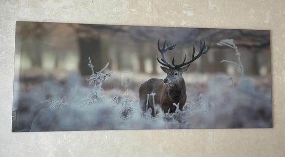 Bild von Kerrygold22 Bild von Kerrygold22