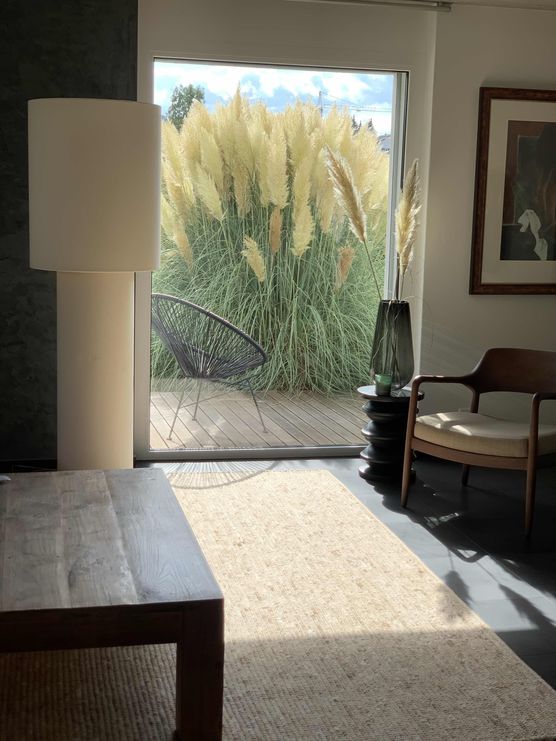 Bild von Luine Bild von Luine