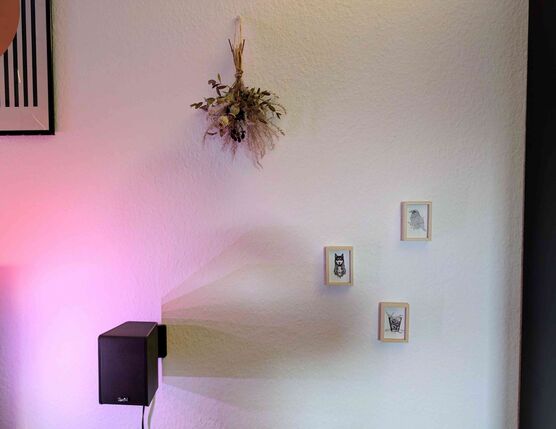 Bild von NatBo Bild von NatBo