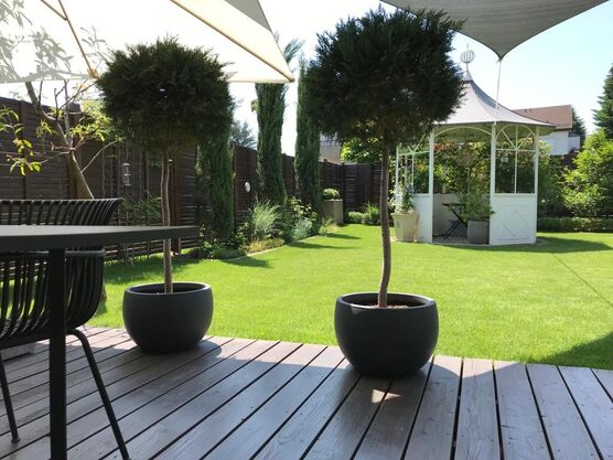 Enjoy the sun... Enjoy the sun...