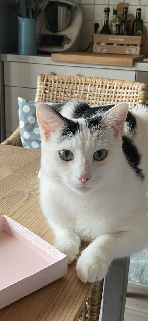 Bild von ARü Bild von ARü