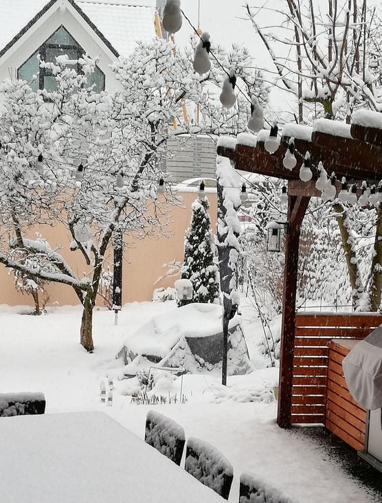 Endlich schneit es auch Endlich schneit es auch