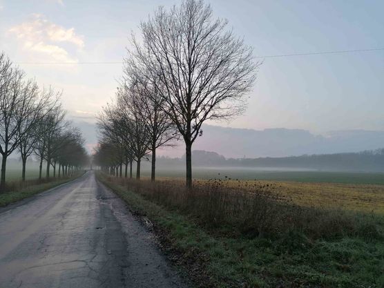 Bild von Luftschlossarchitektin Bild von Luftschlossarchitektin