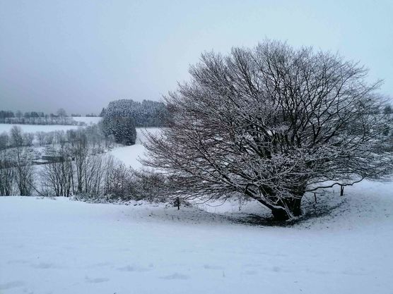 Bild von Luftschlossarchitektin Bild von Luftschlossarchitektin