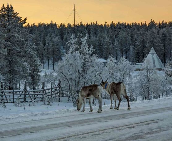 Bild von Luftschlossarchitektin Bild von Luftschlossarchitektin