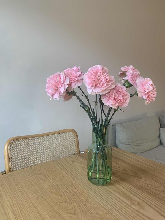 Bild von itsmeaileensophie Bild von itsmeaileensophie