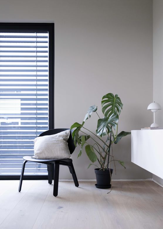 Bild von Beatrice Kurz Bild von Beatrice Kurz