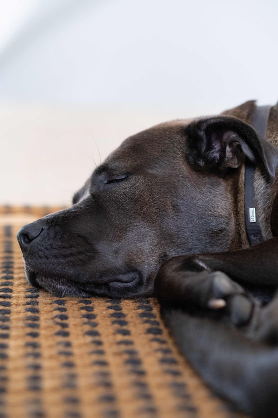 Bild von Bea McHowey Bild von Bea McHowey