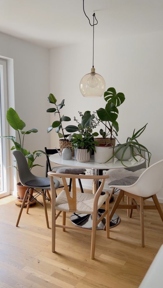 Bereit zum Gießen 🪴 Bereit zum Gießen 🪴