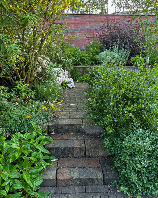 Bild von Imke.Beck Bild von Imke.Beck